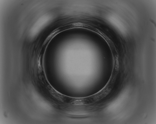 X0000093101198200709261224