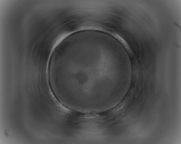 X0000093101199200709261224