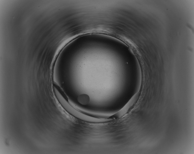 X0000093101200200709261224