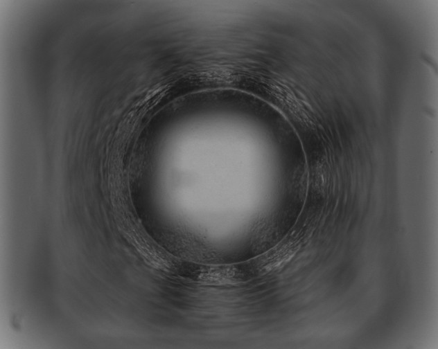 X0000093101201200709261223