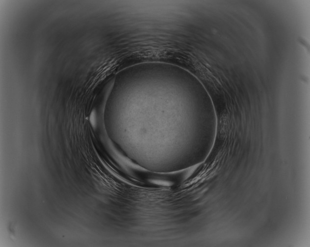 X0000093101202200709261223