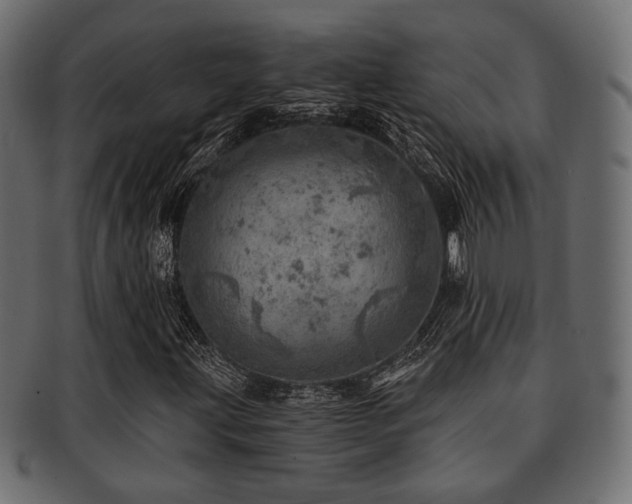 X0000093101203200709261223