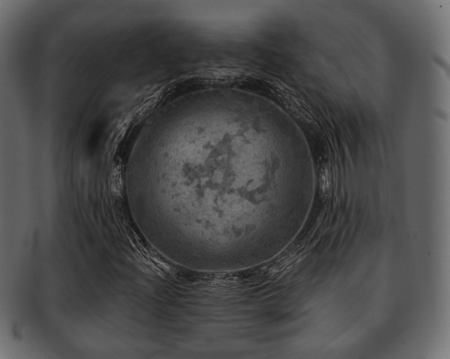 X0000093101204200709261223