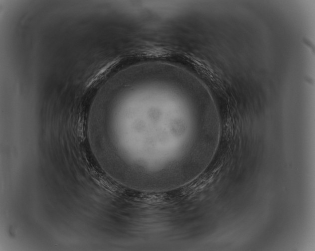 X0000093101205200709261224
