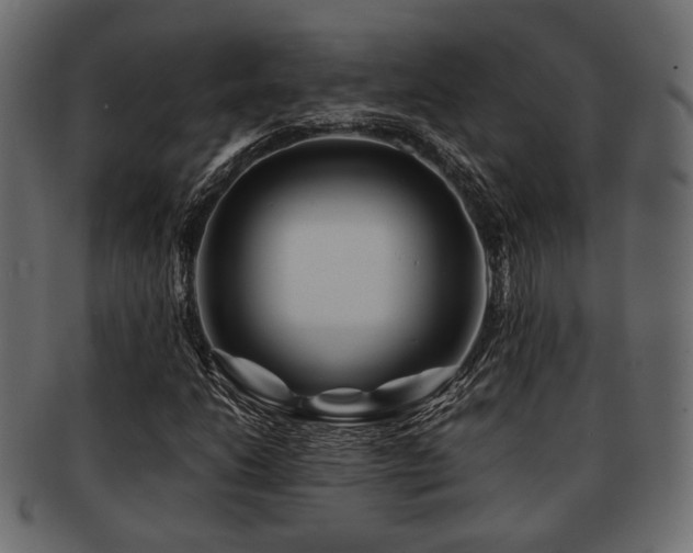 X0000093101206200709261224