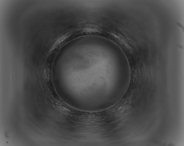 X0000093101207200709261224