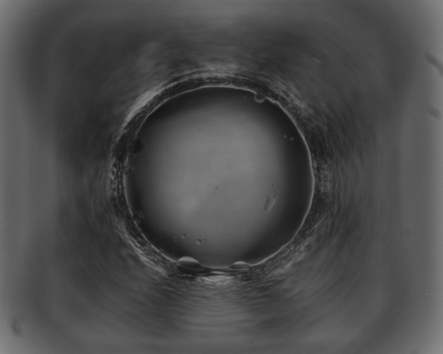 X0000093101208200709261224