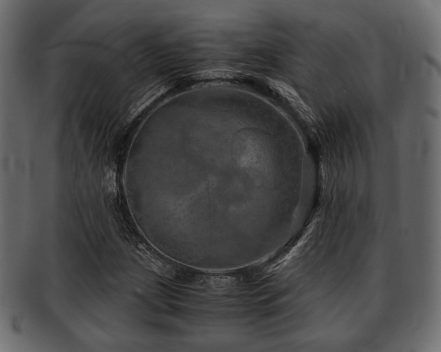 X0000093101209200709261224