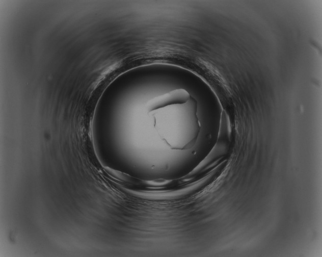 X0000093101210200709261224