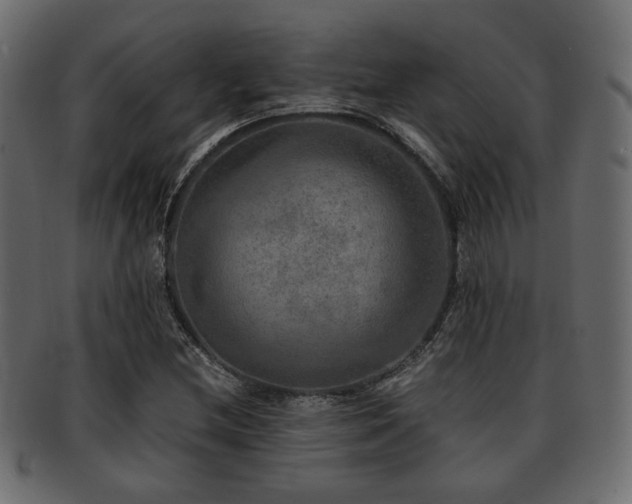 X0000093101212200709261224