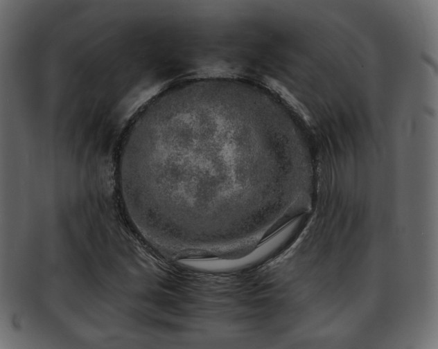 X0000093101213200709261224