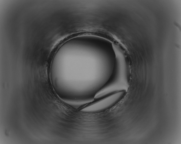 X0000093101214200709261224