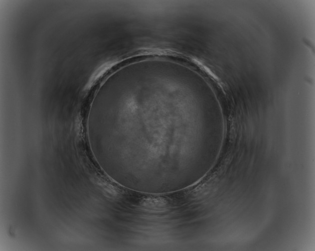 X0000093101215200709261224