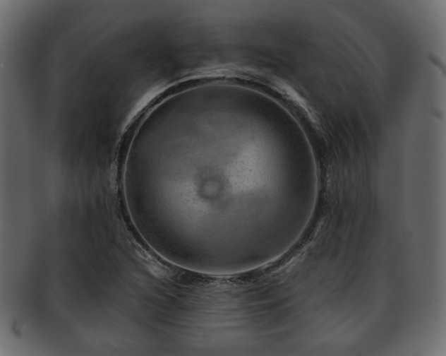 X0000093101216200709261224