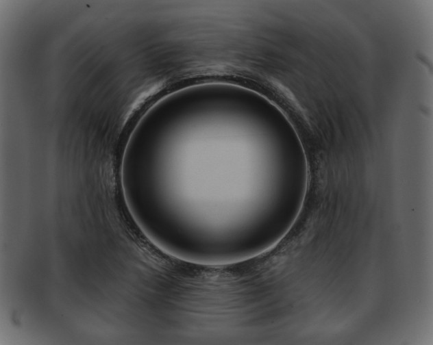 X0000093101218200709261224