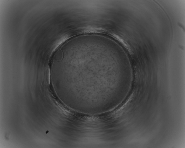 X0000093101219200709261224