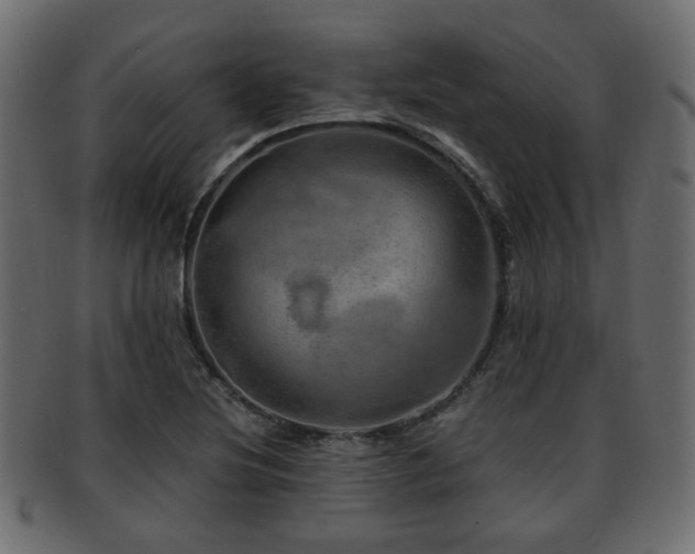 X0000093101220200709261224