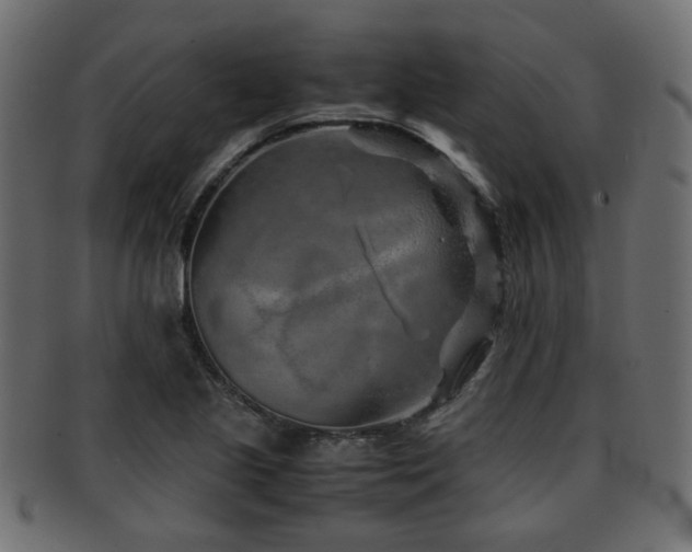 X0000093101221200709261224