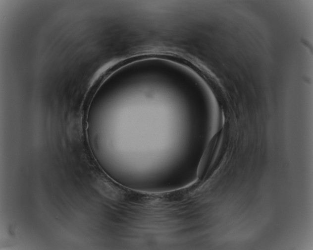 X0000093101222200709261224