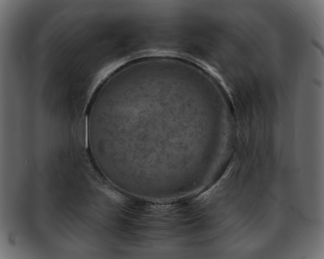 X0000093101223200709261224