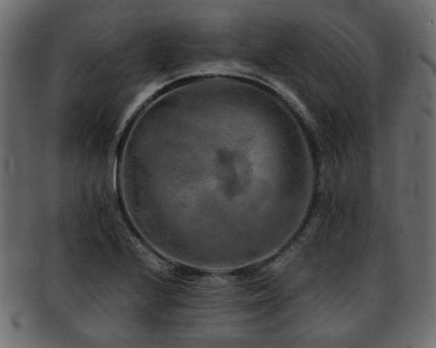 X0000093101224200709261224