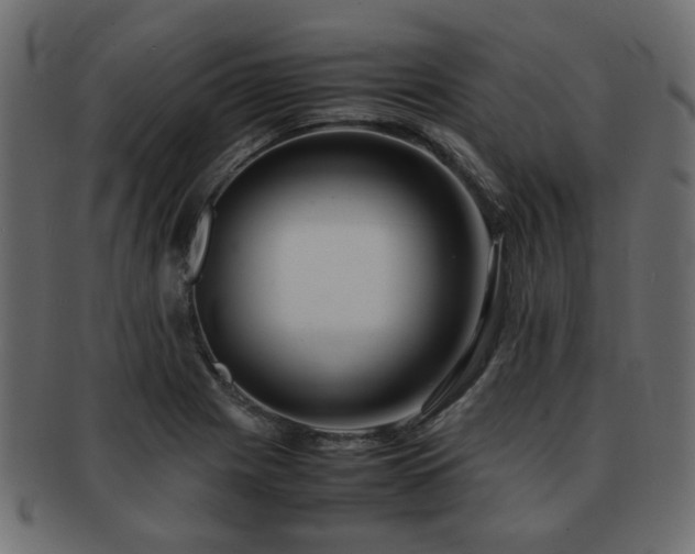 X0000093101225200709261224