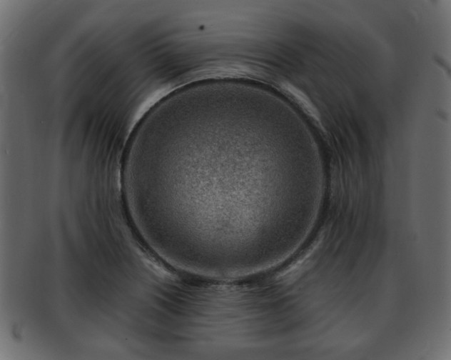 X0000093101226200709261224