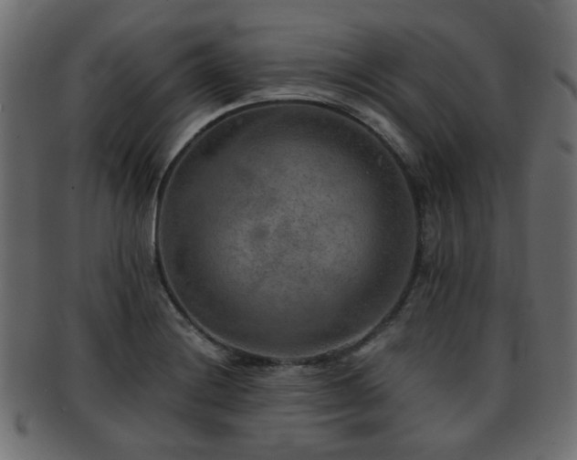 X0000093101228200709261224
