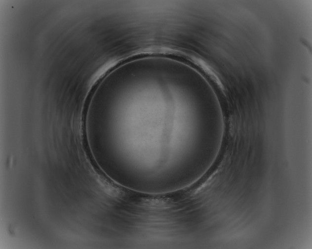 X0000093101229200709261224