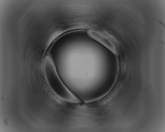 X0000093101230200709261224