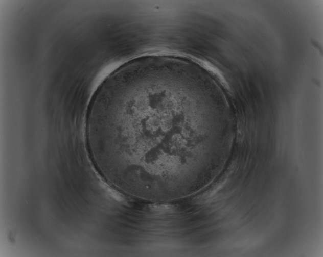 X0000093101231200709261224
