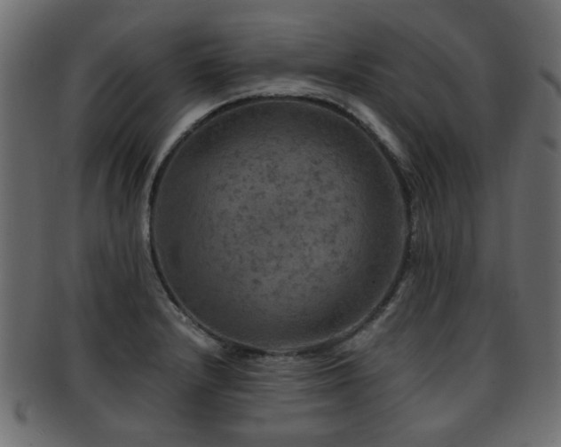 X0000093101232200709261224