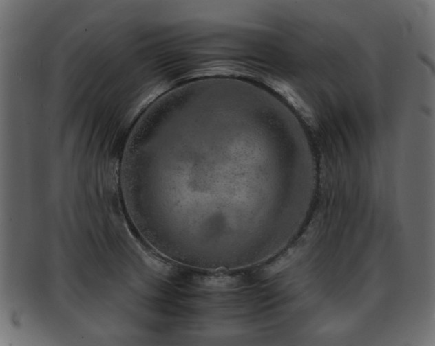 X0000093101233200709261224
