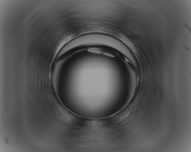 X0000093101234200709261224