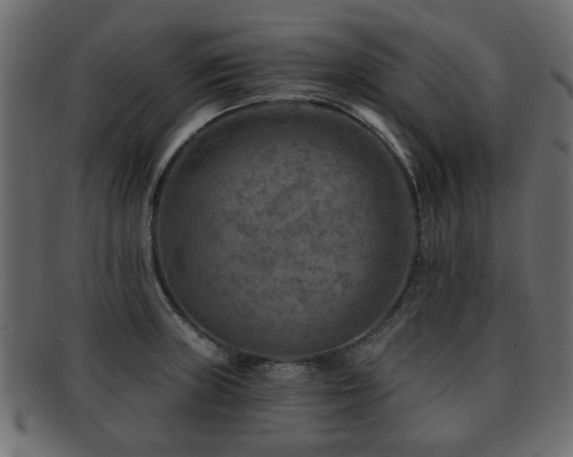 X0000093101235200709261224