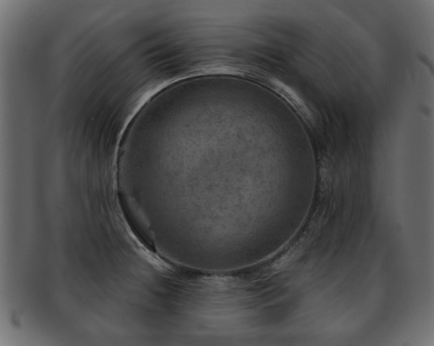 X0000093101236200709261224