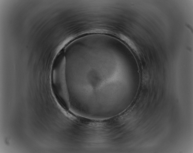 X0000093101237200709261224