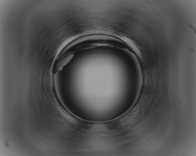 X0000093101238200709261224