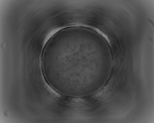 X0000093101239200709261224