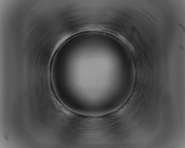 X0000093101240200709261224
