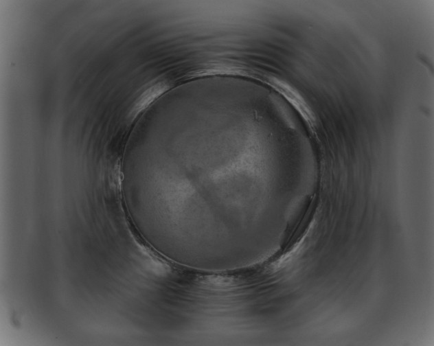X0000093101241200709261224