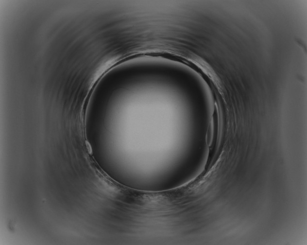 X0000093101242200709261224