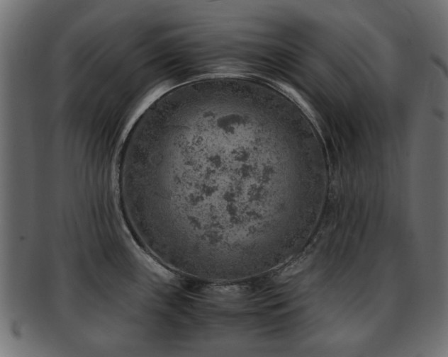 X0000093101243200709261224