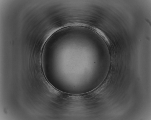 X0000093101244200709261224
