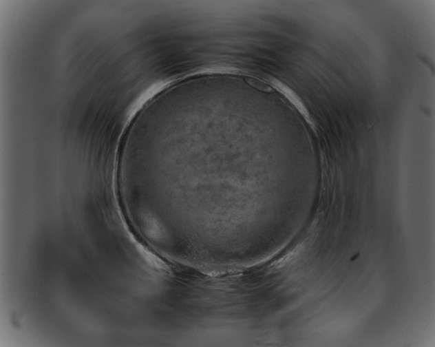 X0000093101245200709261224
