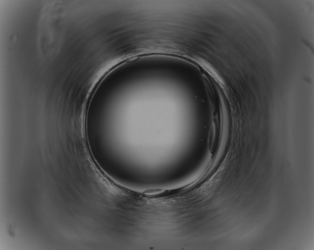 X0000093101246200709261224