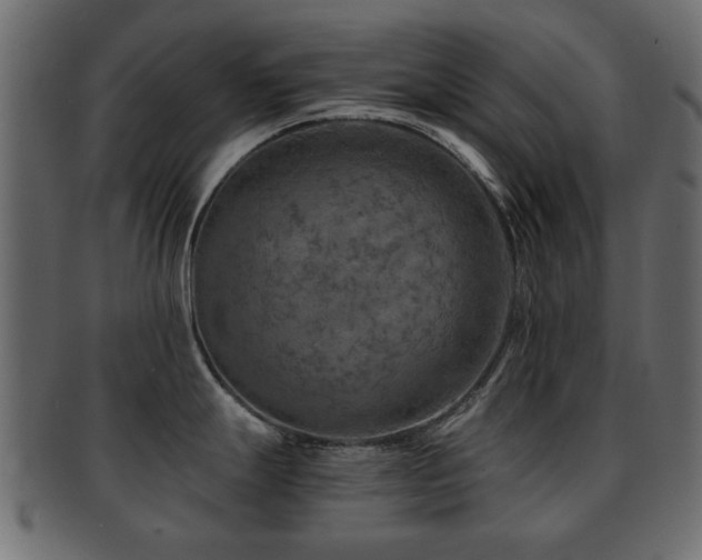 X0000093101247200709261224