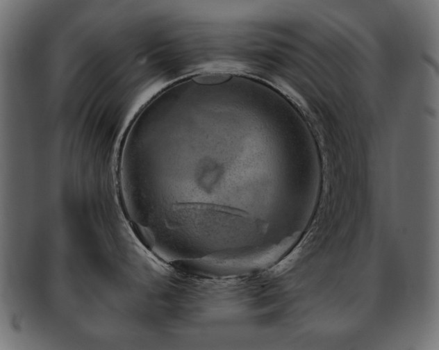 X0000093101248200709261224