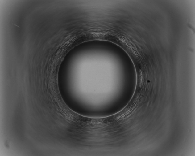 X0000093101249200709261223