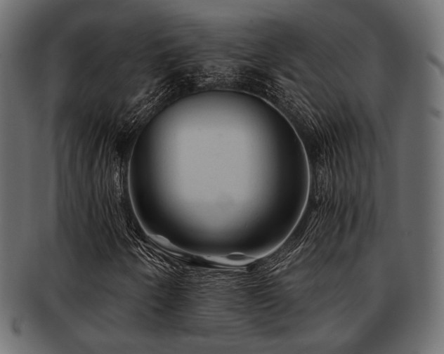 X0000093101250200709261223
